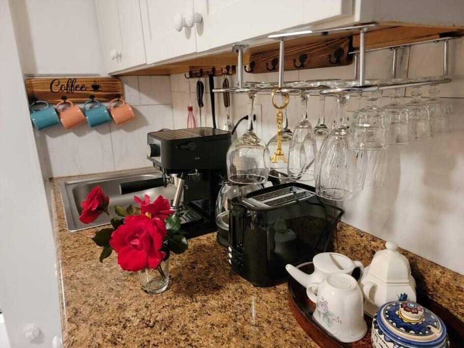 Comfy And Chic Boston Apartment! Free Parking Exterior photo