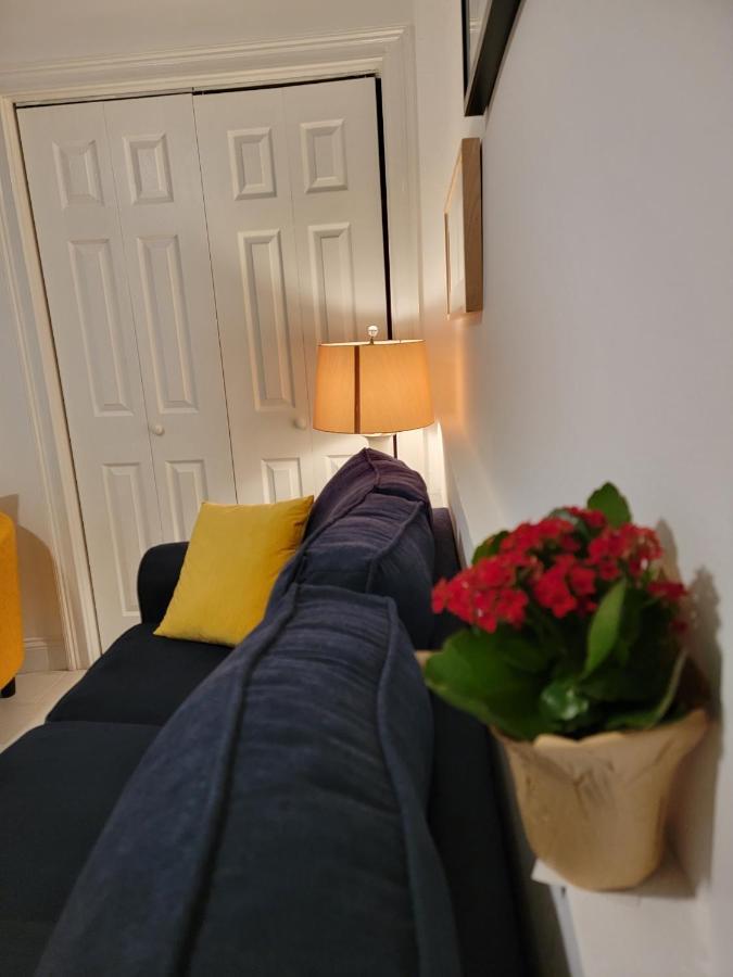 Comfy And Chic Boston Apartment! Free Parking Exterior photo